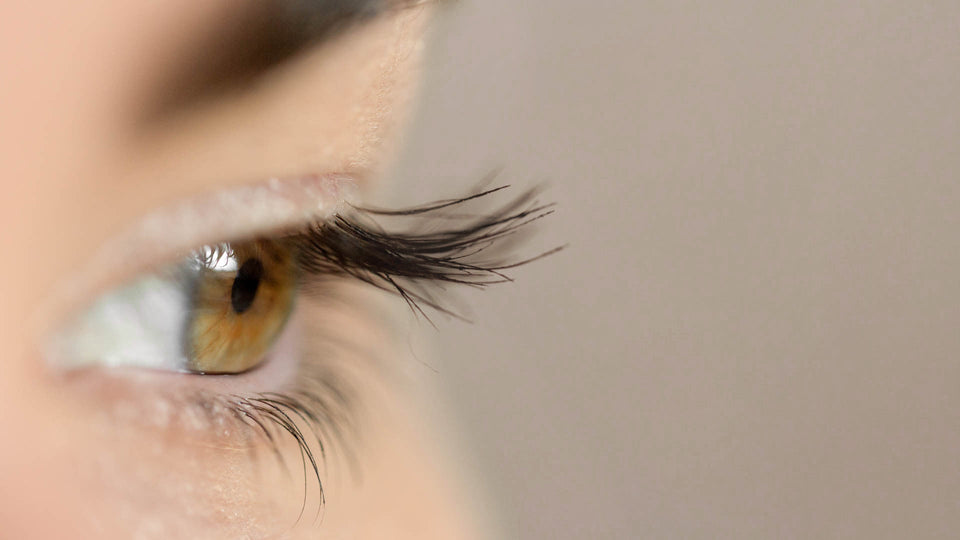 <em>Bye Bye</em>  Blue Light, <em>Hello</em>  Healthy Eyes and Better Sleep