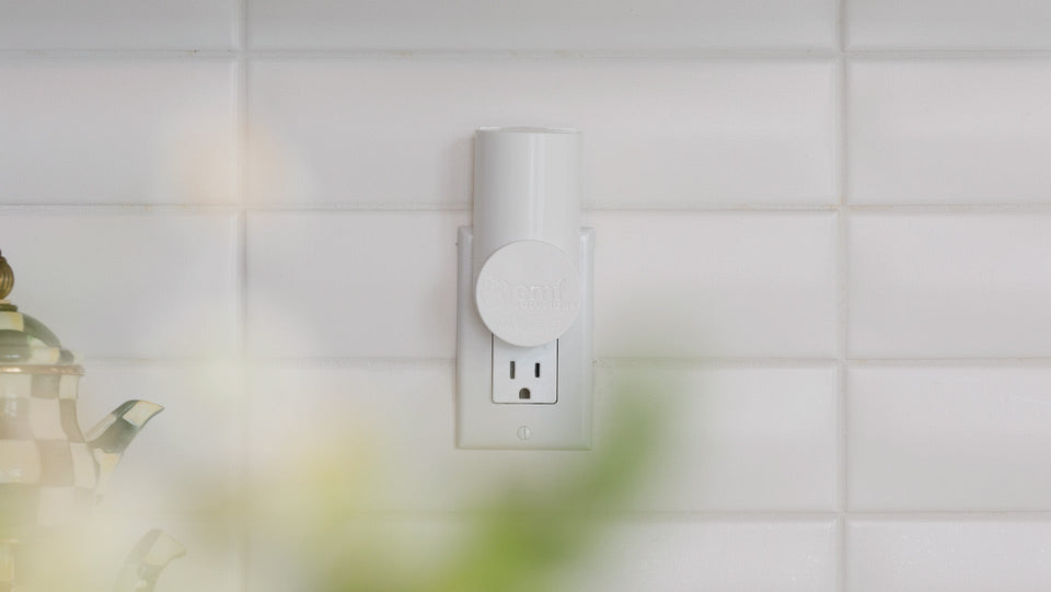 How to <em>Start</em> Remediating Non-Native EMF <em>Frequencies</em> at Home