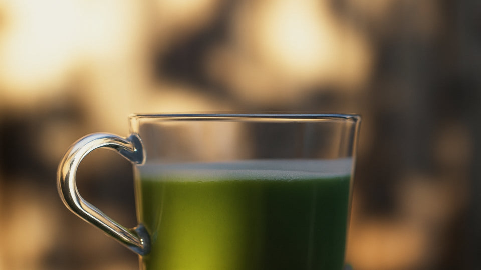 Morning Matcha <em>Motivation</em>