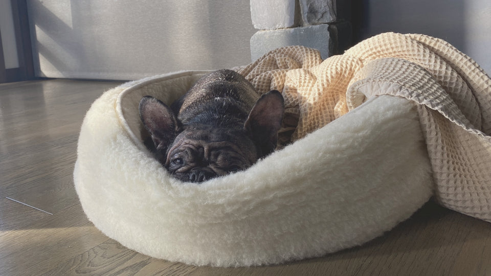 Non-Toxic <em>Pet Furniture</em> That Honors Their Wellbeing