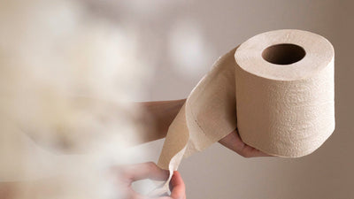 Top Tree-Free and Non-Toxic <em>Paper Products</em> for Your Home
