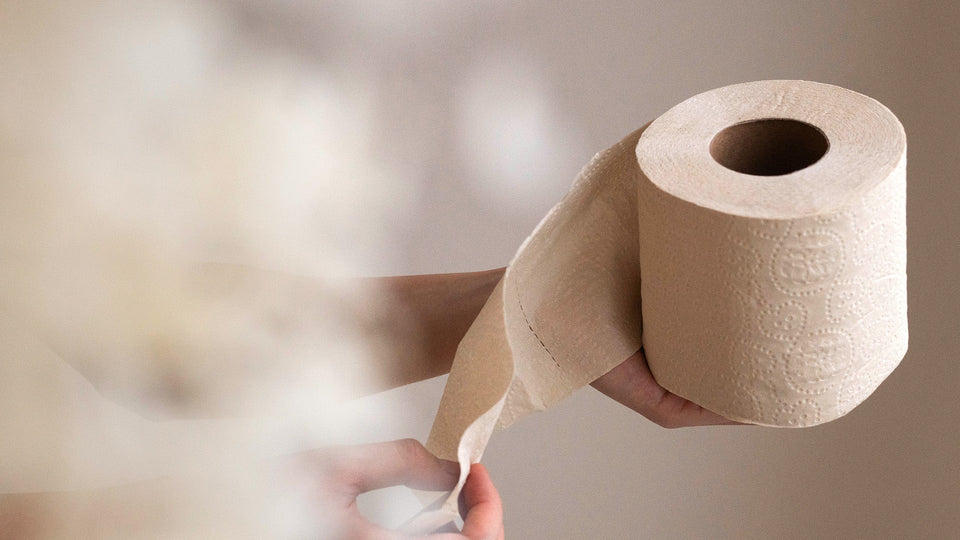Top Tree-Free and Non-Toxic <em>Paper Products</em> for Your Home