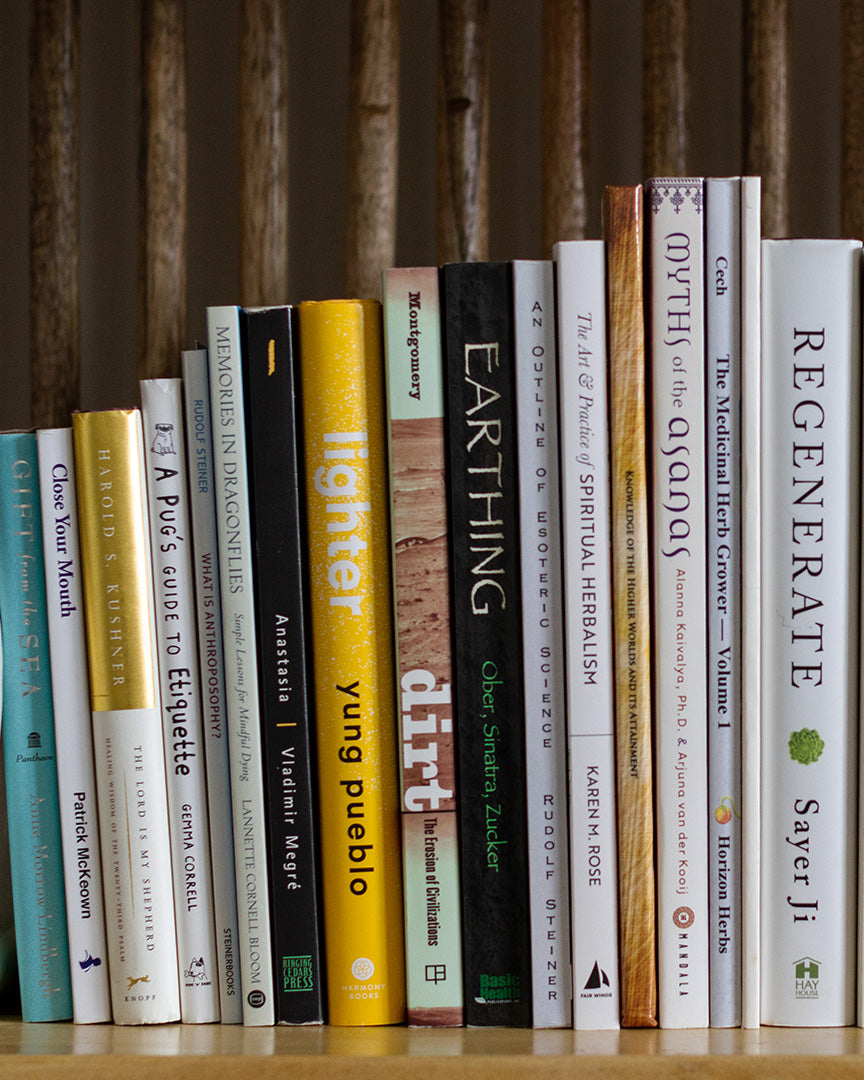 Sensible Books Essential Books to Help Your Mind, Body, and Spirit Thrive – Ale Life ...